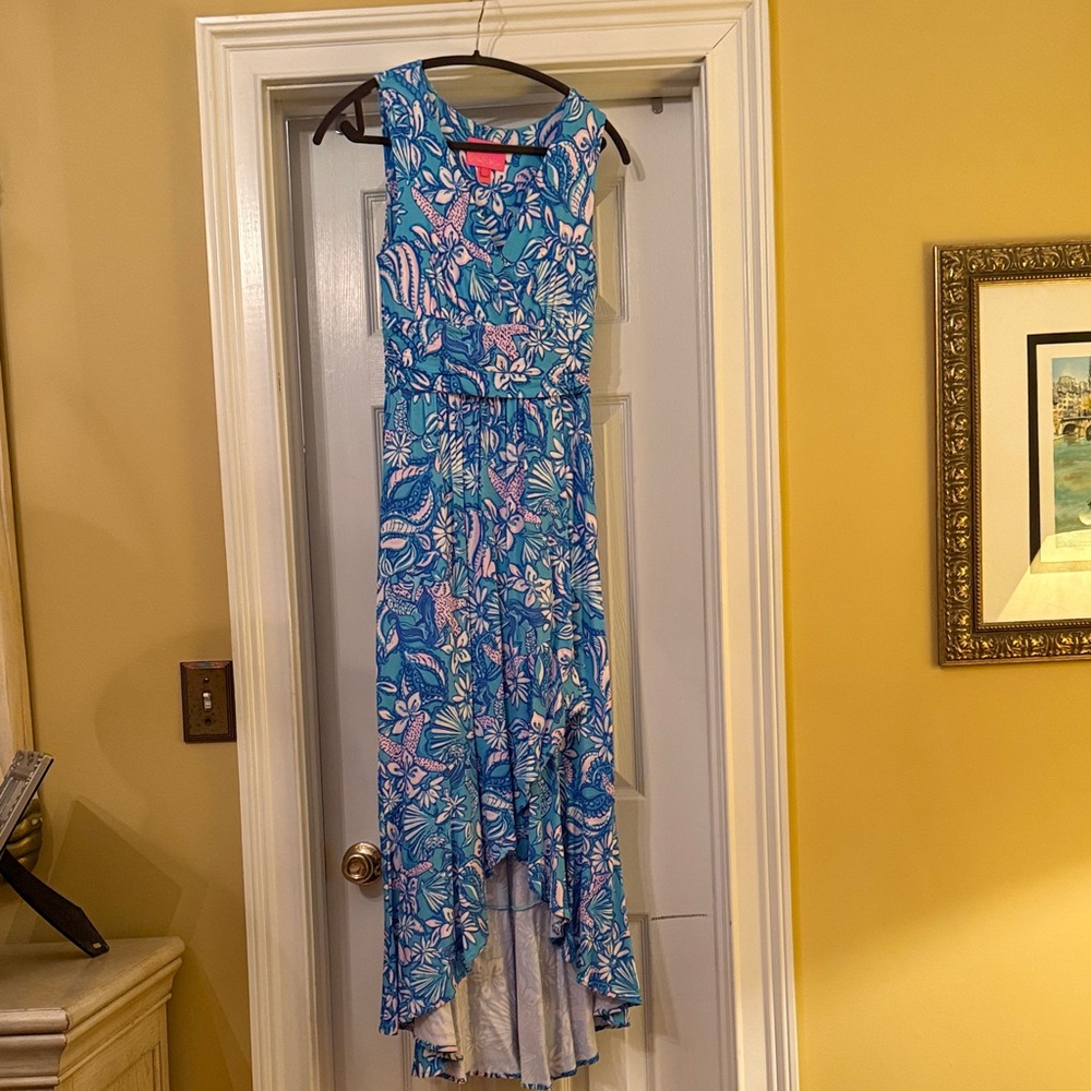 Lilly Pulitzer Blue and Pink Floral Dress